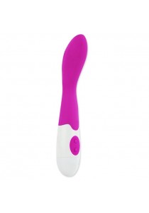 Vibromasseur Gode Bishop Dildo Silicone Coube 30 Vitesses