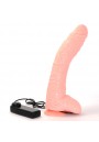 Gode Vibrant Réaliste Ventouse 26Cm