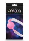 COSMO Boule de Bondage Baillon RAINBOW