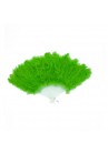 Eventail en Plumes Vert Pomme